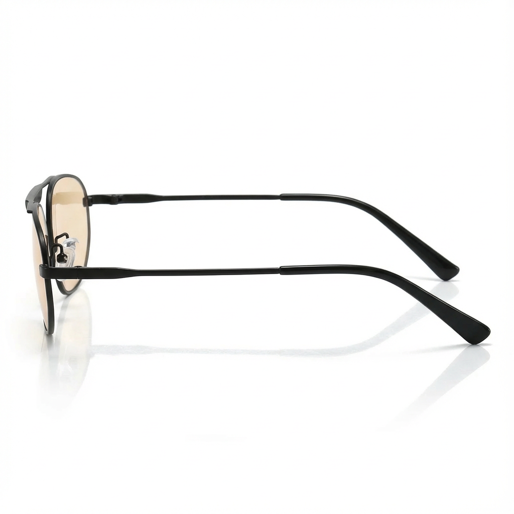 Émile Noir Sunglasses